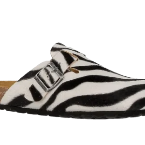 Axelda Carter - Zebra