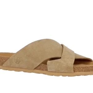 Axelda Abbie - Camel