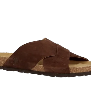 Axelda Abbie - Chocolate