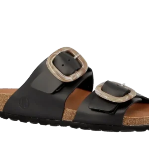 Axelda Harper - Black