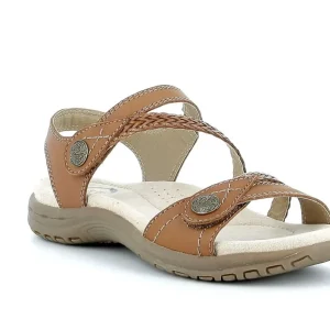 Malibu - Light Brown