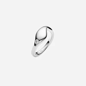 Dolphin Ring Silver