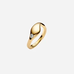 Dolphin Ring Gold