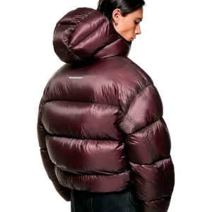 Translucent Hooded Bubble Jacket