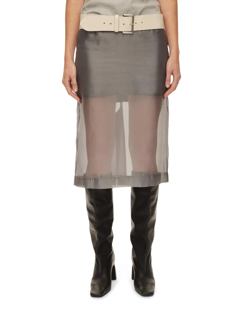 Cosmo Sheer Skirt